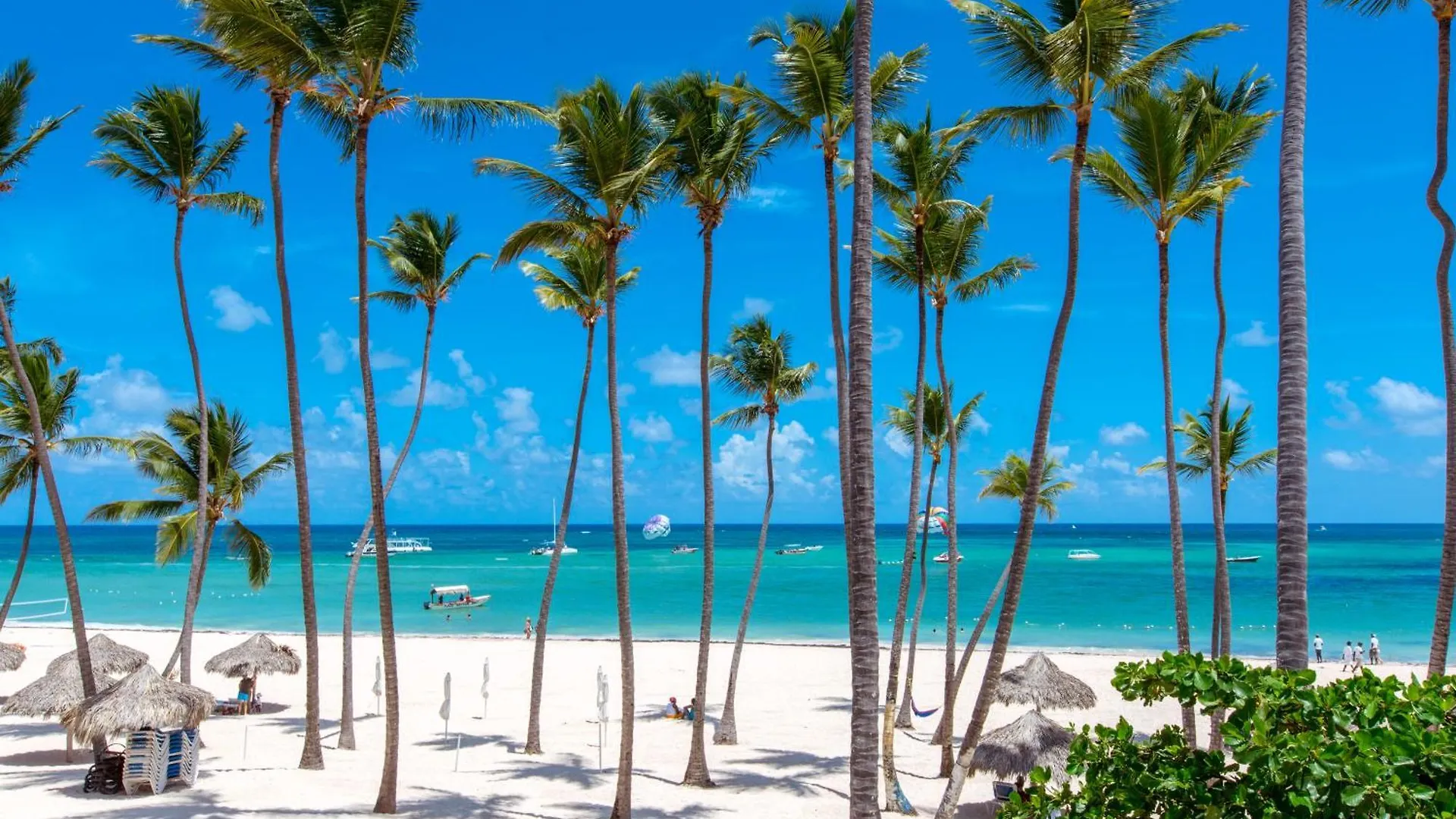 *****  Hotel Grand Caribe Beach Club And Spa - Playa Los Corales Punta Cana República Dominicana