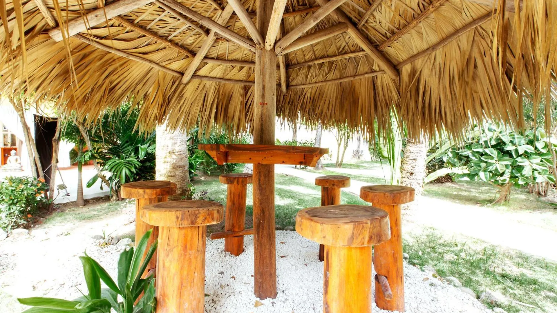 *****  Hotel Grand Caribe Beach Club And Spa - Playa Los Corales Punta Cana República Dominicana